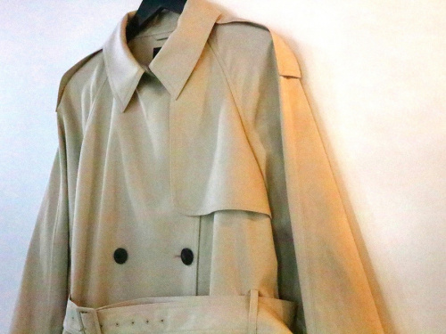 キャリアファッションのtheory