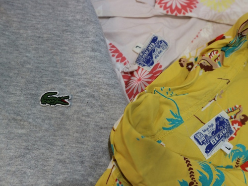 19年04月15日：画像９