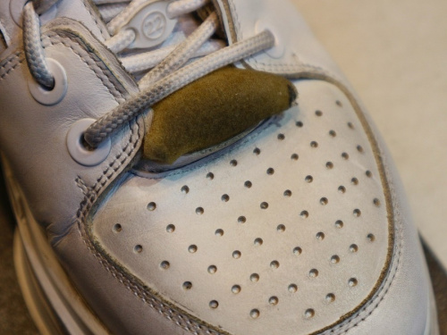 19年10月11日：画像１０