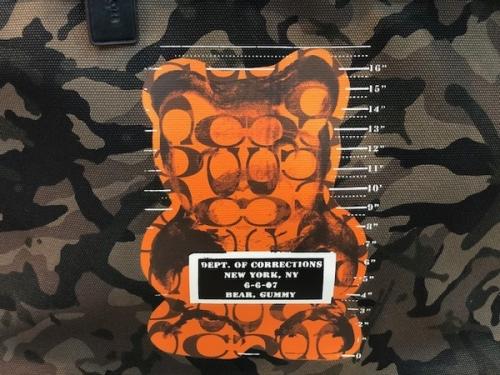 ヴァンダルガミーのグラフィティ