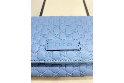 マイクログッチシマ / 449396