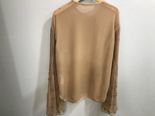 ナイロンシアーブラウスのレディース