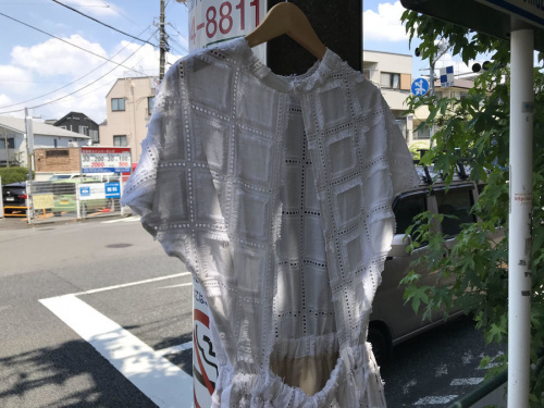 ワンピースのレディース