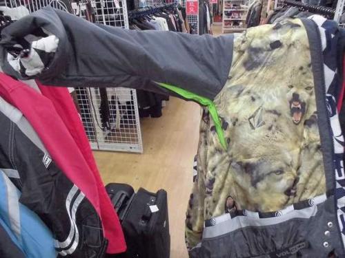 16年11月17日：画像７