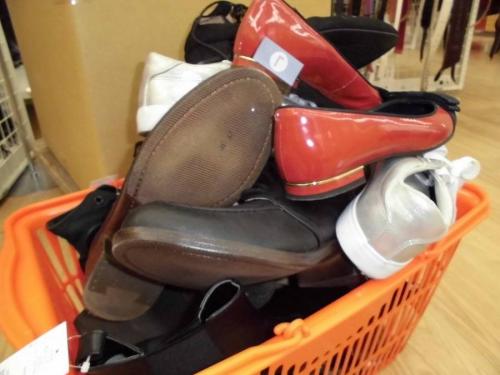 17年01月28日：画像６