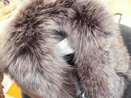 17年11月09日：画像６