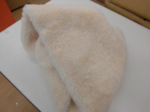 19年10月22日：画像６