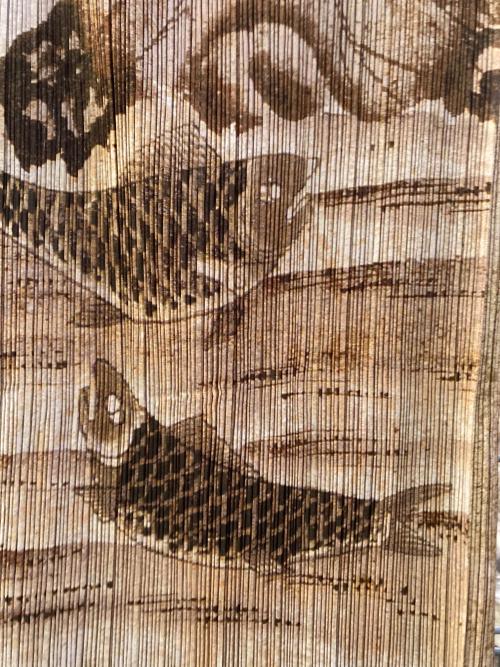 トレファクスタイル中野南口店ブログ画像3