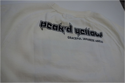 20年02月25日：画像６