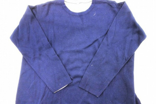 21年01月13日:画像6