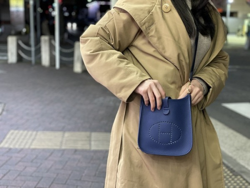 ミニエブリン AC010