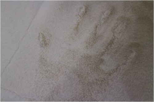 17年10月24日：画像６