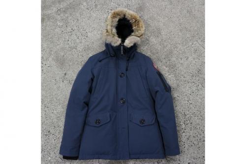 カナダグースの岸和田