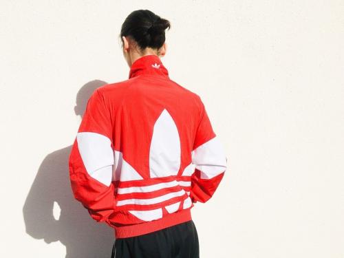 トレファクの岸和田