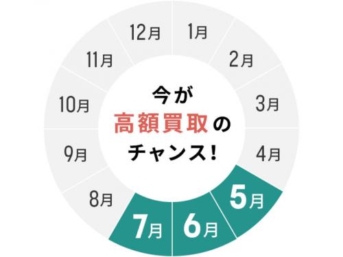 レディース