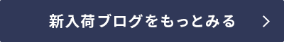 新入荷ブログをもっとみる