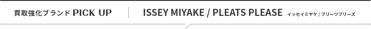 ISSEY MIYAKE / PLEATS PLEASE